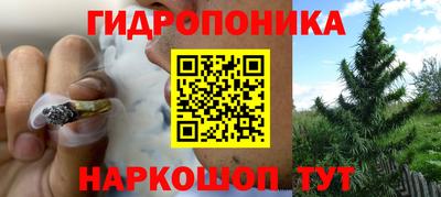 стаф Кумертау